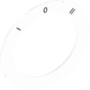 Stahl - Bezeichnungsschild für Befehlsgeräte Schild 8602/3 227007 58 I 0 II