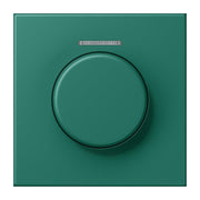 Jung - Abdeckung/Bedienelement für Installationsschalterprogramme Abdeckung mit Lichtleiter LC 1940 KO5 216 vert anglais