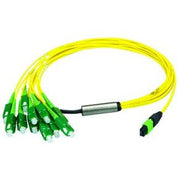 Telegärtner - Patchkabel LWL MPO/MTP Aufteilkabel gb 5m 100011050 MPO APC OS2 12LC SM