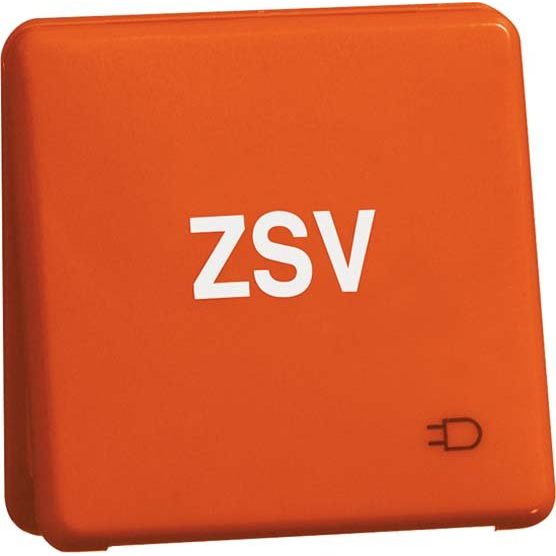 Peha - Schalter-/Steckdosenkombination Steckdose D80.6611K ORANGE ZSV