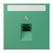 Jung - Einsatz/Abdeckung für Kommunikationstechnik Abdeckung für IAE/UAE LC 969-1 NAUA 250 vert 59 (4320G)