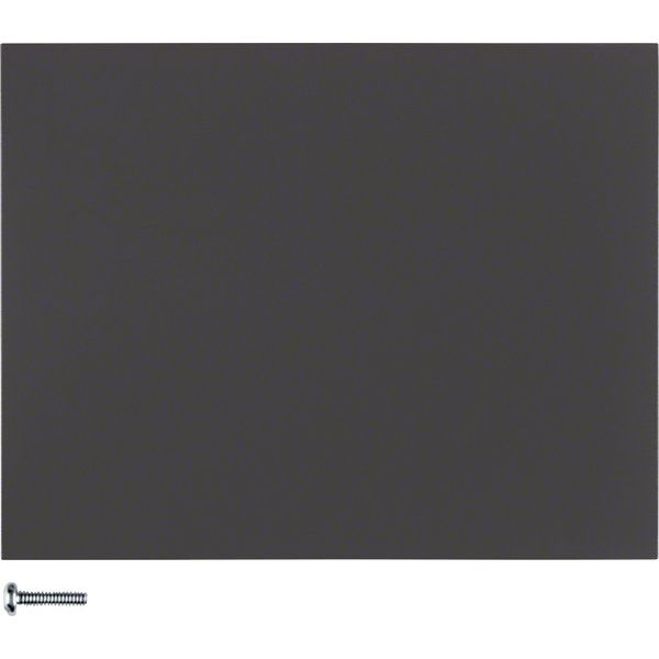 Berker - Bedienelement intelligent Taste 1fach 85141175 anthrazit matt, lack