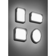 Brumberg Leuchten - Decken-/Wandleuchte LED-Wandleuchte 10224103 3000K, graphit