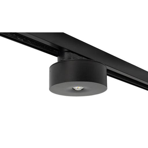 RP-Technik - Sicherheitsleuchte ILDL428WL-SW-3P EB 8h, sw