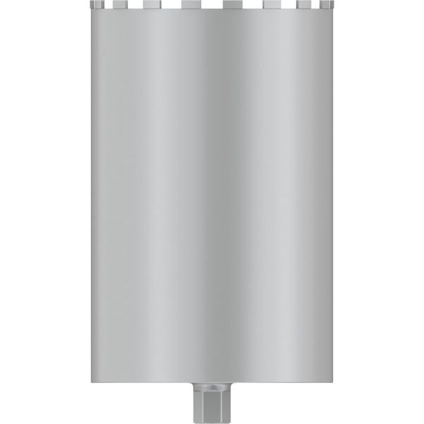 Bosch - Bohrkrone PRO Nassbohrkrone, 300 x 2608601802 450 mm 1 1/4