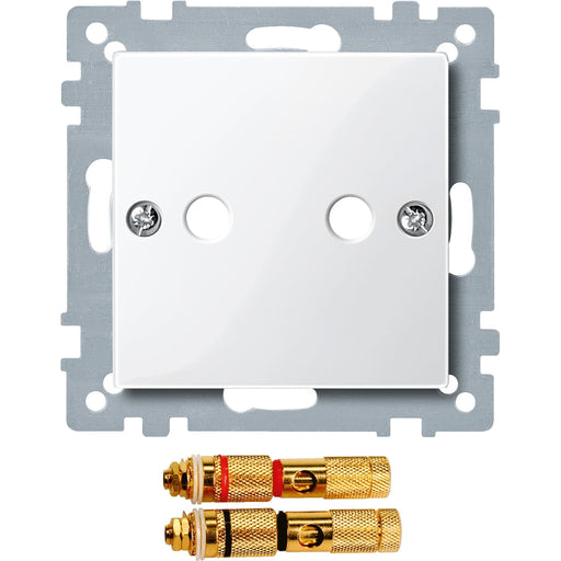 Merten - Einsatz/Abdeckung für Kommunikationstechnik Zentralplatte pws/gl 468819 mit Steckverbinder