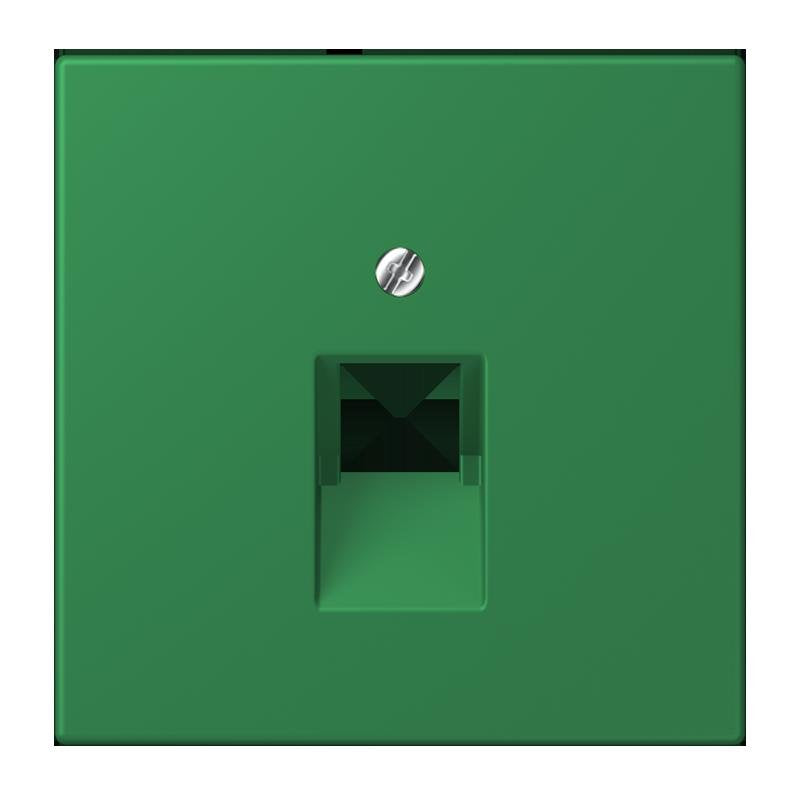 Jung - Einsatz/Abdeckung für Kommunikationstechnik Abdeckung für IAE/UAE LC 969-1 UA 219 vert fonce