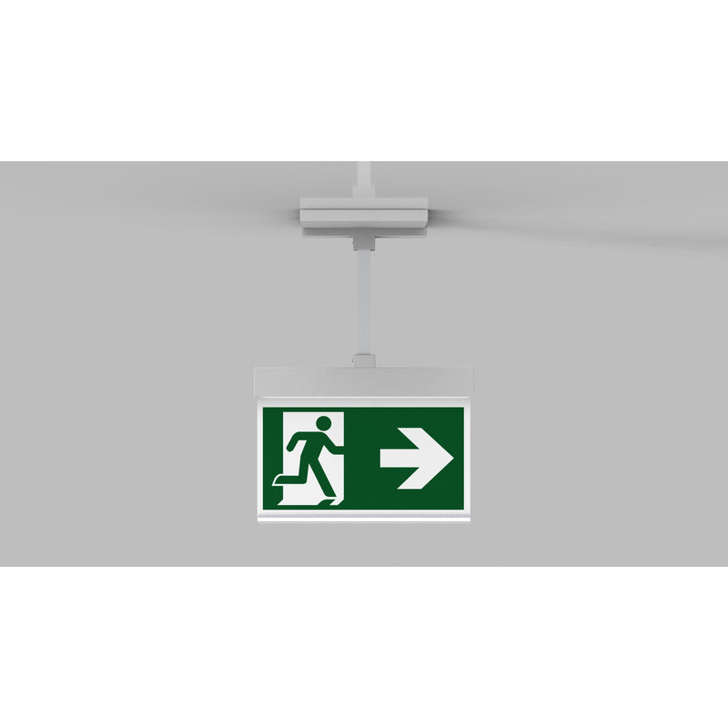 RP-Technik - Sicherheitsleuchte Rettungszeichenleuchte AIEP009ML ZB, ML, Piktoset