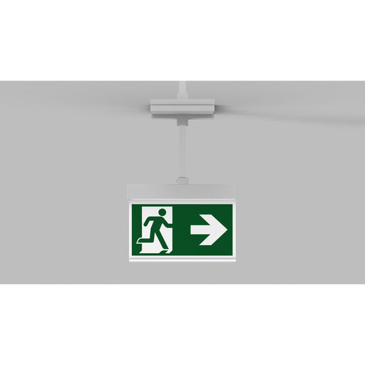 RP-Technik - Sicherheitsleuchte Rettungszeichenleuchte AIEP009ML ZB, ML, Piktoset