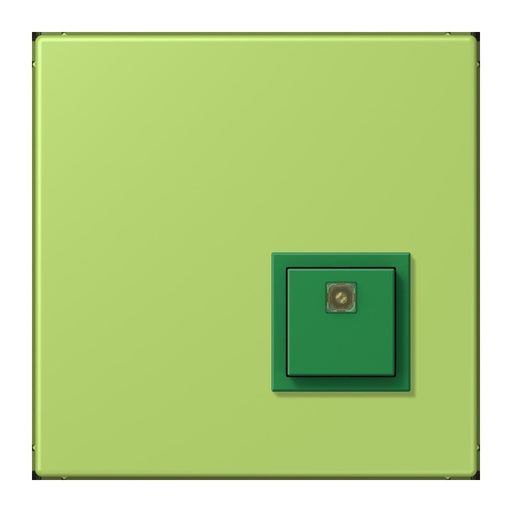 Jung - Behindertenelement für Installationsschalterprogramme Notrufsystem Abstelltaster NRS LC 0834 AT 221 vert clair