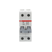 ABB Stotz S&J - Schalter für Reiheneinbau Trennschalter E202/80G Schaltgriff grau