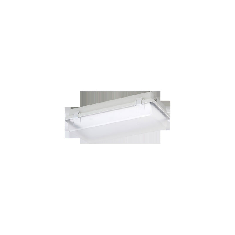 Schuch Licht - Sicherheitsleuchte LED-Notleuchte 164KL L08G2/3 MA