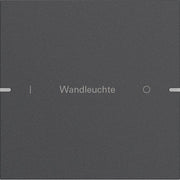 Gira - Bussystem-Tastwippe Wippenset 1-fach 5031928 Tastsens TS4 Anthr