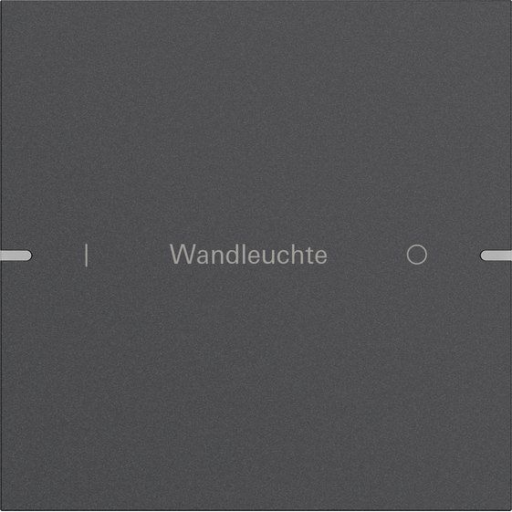 Gira - Bussystem-Tastwippe Wippenset 1-fach 5031928 Tastsens TS4 Anthr