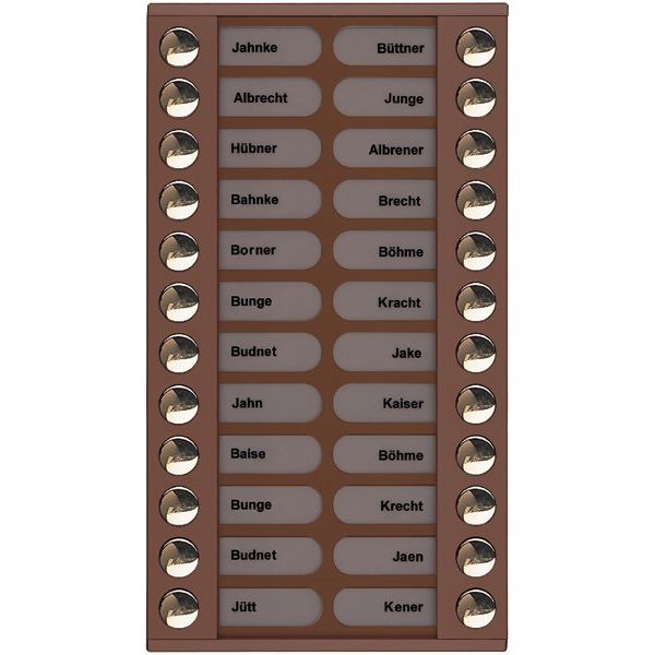 TCS Tür Control - Montageelement für Türstation Audioaußenstation 2-reihig PET24-EB/04 Erw.24 Tasten bronze