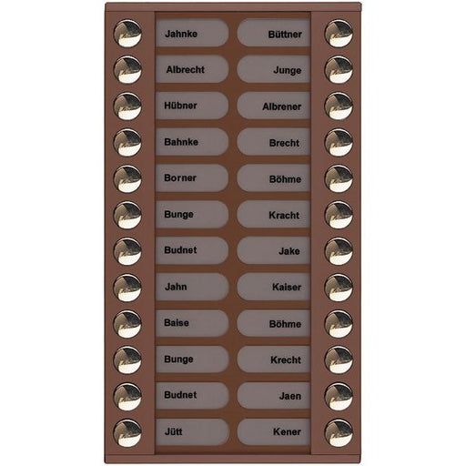 TCS Tür Control - Montageelement für Türstation Audioaußenstation 2-reihig PET24-EB/04 Erw.24 Tasten bronze