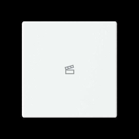 Busch-Jaeger - Bussystem-Tastwippe Abdeckung als Taster LFST/A.1.63.11-884 1f. Symbol Szene