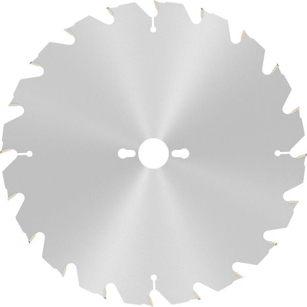 Bosch - Kreissägeblatt PRO Construct Wood 2608640690 Kreissägeblatt 300 x
