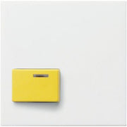 Gira - Zentralelement Klinikinstallation Abdeckung f. Abstelltaster 024727 LED gb rw mt
