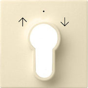 Gira - Abdeckung/Bedienelement für Installationsschalterprogramme Zentralplatte cws-gl 066401 f.Schlüsselschalter
