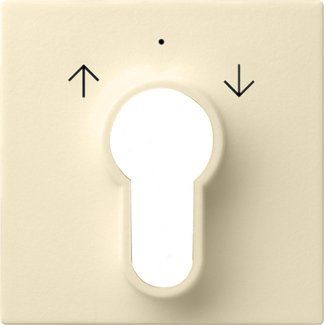 Gira - Abdeckung/Bedienelement für Installationsschalterprogramme Zentralplatte cws-gl 066401 f.Schlüsselschalter