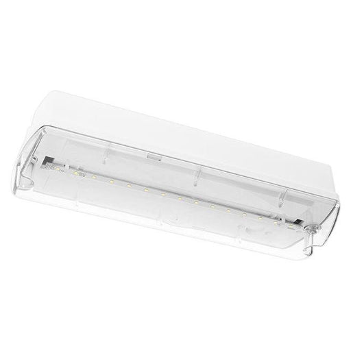 Fischer - Sicherheitsleuchte LED-Sicherheitsleuchte HAU330SC.V2 3h