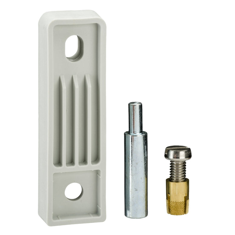 Schneider Electric - Montagezubehör (Schaltschrank) Wandlaschensatz NSYPFPLMG Kunstst.PLM3025-108