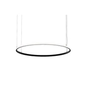 Brumberg Leuchten - Pendelleuchte LED-Pendel-Ringleuchte 84072184MT 4000K, Matter