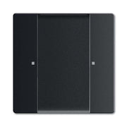 Busch-Jaeger - Funkempfänger Bedienelement 6735-885 schwarz matt