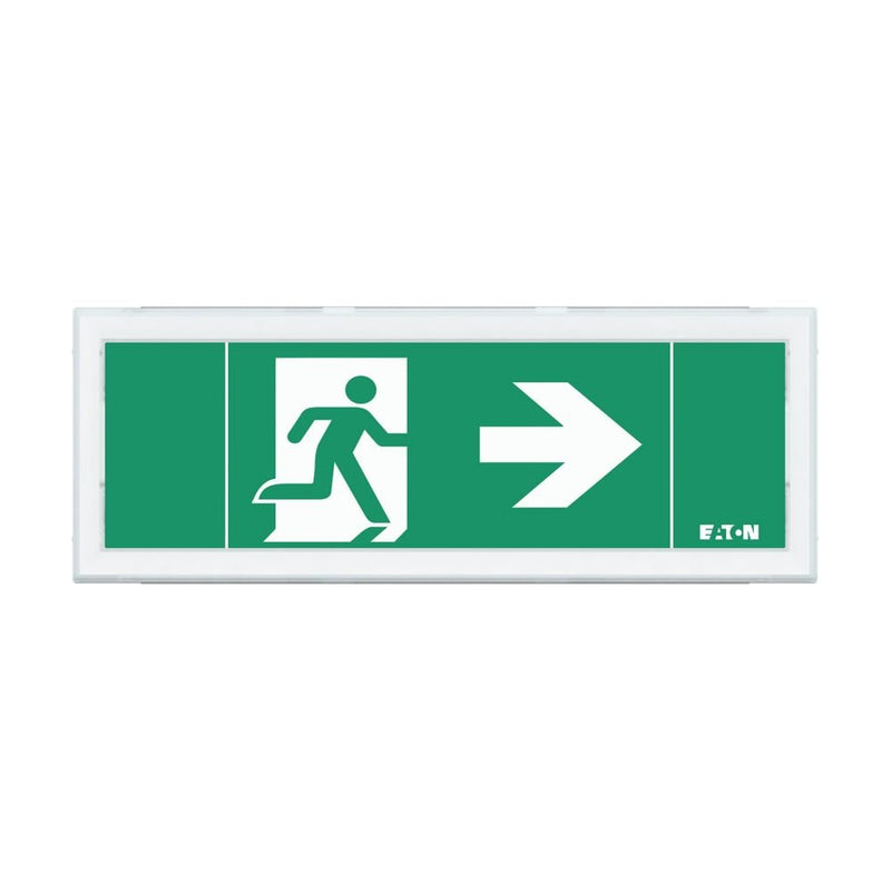 Ceag Notlichtsysteme - Sicherheitsleuchte LED-Rettungszeichenleuchte FT1EW4ICGL18 1-8h, Piktos, Wand