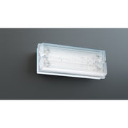 RP-Technik - Hinweisleuchte Sicherheitsleuchte PFW413WL EB 3h, Wireless