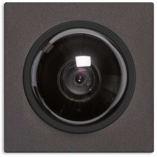 TCS Tür Control - Funktionsmodul für Türkommunikation Einbau-Dome-Kameramodul AMI10620-0057 Gehäuse schwarz