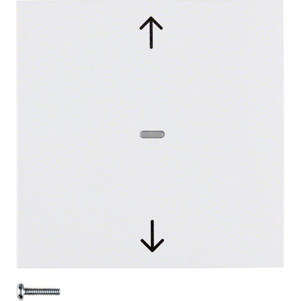 Berker - Bussystem-Tastwippe KNX-Funk Jalousie-Taste 85245289 polarweiß glänzend