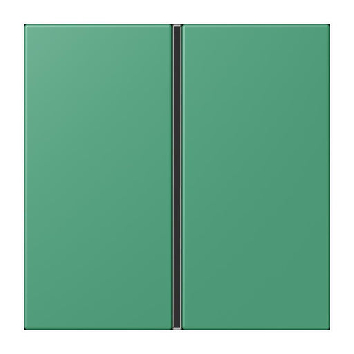 Jung - Abdeckung/Bedienelement für Installationsschalterprogramme Tastensatz 1fach LC 401 TSA 250 vert 59