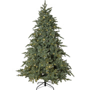 Star Trading - Festbeleuchtung LED-Weihnachtsbaum 606-18 700LED,ww, 210x142cm