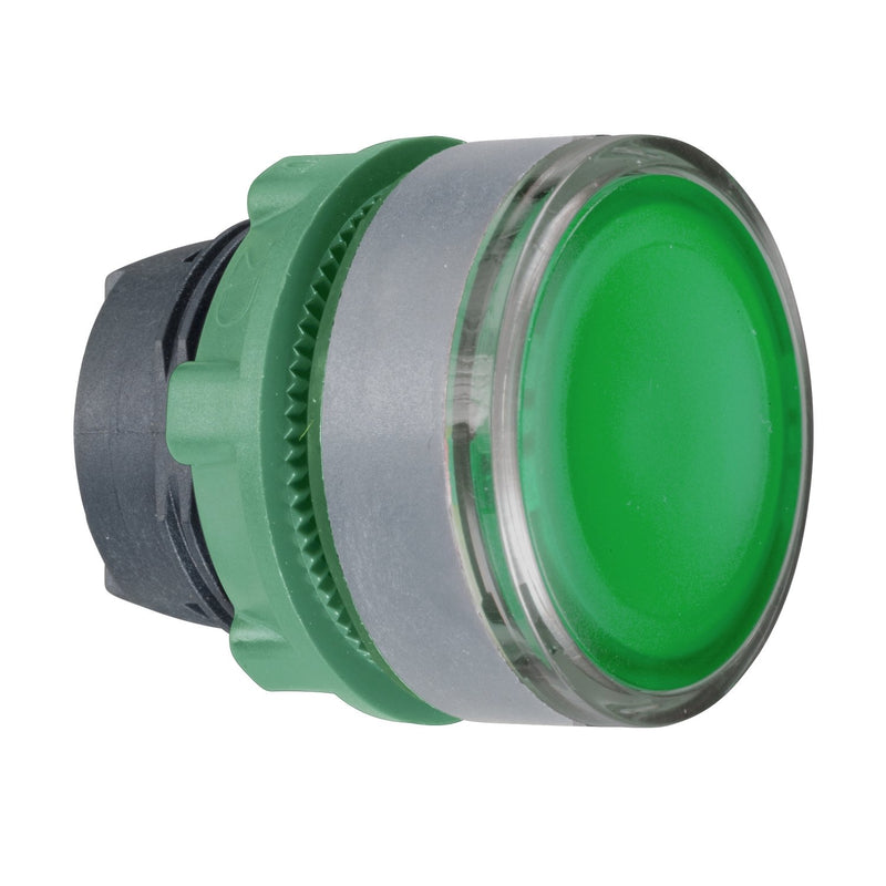 Schneider Electric - Frontelement für Drucktaster Leuchtdrucktaster ZB5AH0383C0 grün, 22mm, in grau