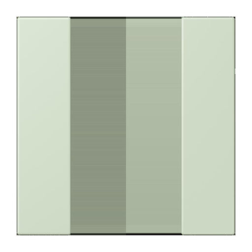Jung - Abdeckung/Bedienelement für Installationsschalterprogramme Tastensatz 1fach LC 501 TSA 218 vert anglais pale