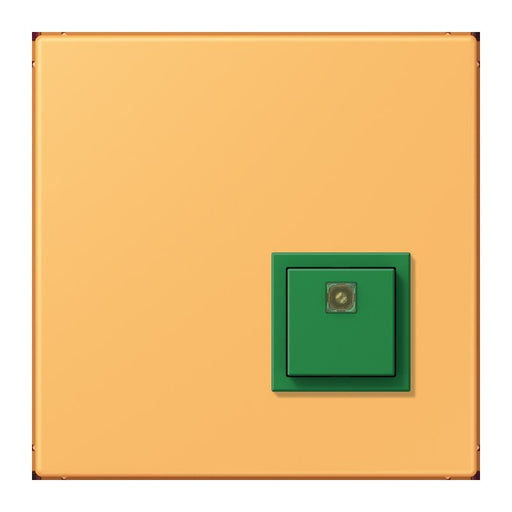 Jung - Behindertenelement für Installationsschalterprogramme Notrufsystem Abstelltaster NRS LC 0834 AT 254 ocre jaune clair