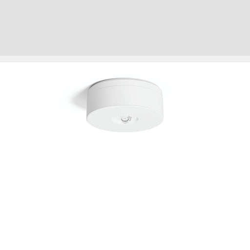 RZB - Sicherheitsleuchte LED-Sicherheitsleuchte 672529.002.89 ZB, AC-Control