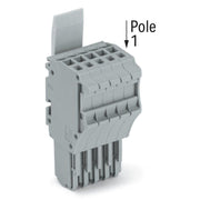 WAGO - Ein- und mehrpolige Klemmenleiste 1-Leiter-Federleiste 2020-105/124-000 CAGECLAMP,1,5mm²,gr − 50 Stück
