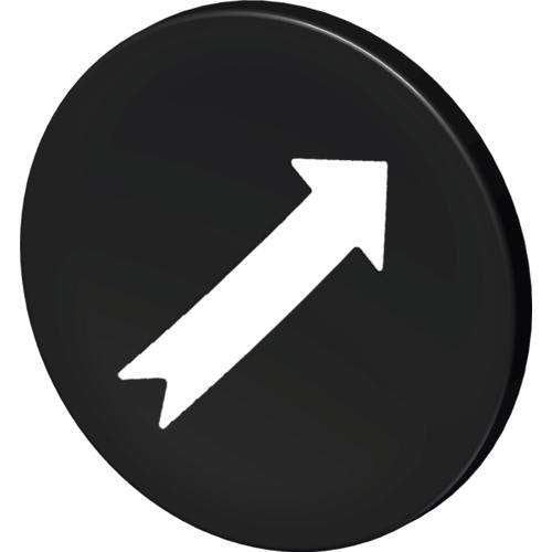 Stahl - Bezeichnungsschild für Befehlsgeräte Tastenschild 8602912840 sw Pfeil/ − 1 Stück by Stahl
