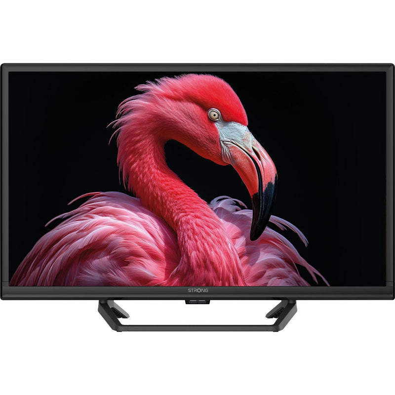 Strong - Fernseher HD LED-TV SRT24HG4723C DVB-T2/C/S2-Tuner