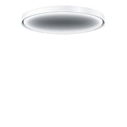 Zumtobel Group - Decken-/Wandleuchte LED-Wand-u.Deckenleuchte LANOSL4000 #42188223 940
