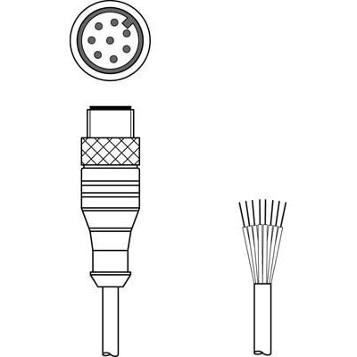 Leuze - Konfektioniertes Sensor-Aktor-Kabel Anschlussleitung KS S-M12-8A-P1-050 − 1 Stück