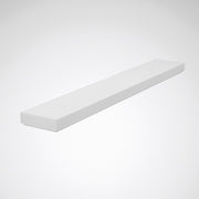 Trilux - Lichttechnisches Zubehör/Ersatzteile für Leuchten Ersatzwanne WanneOlisqLWD2Ersatz