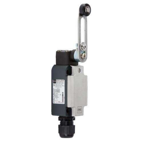Stahl - Einzelpositionsschalter Drehhebel einstellbar 8074/2-1-DS-40 S/Ö