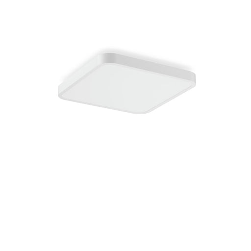 RZB - Decken-/Wandleuchte LED-Wand-u. Deckenleuchte 312653.002.76 830, DALI, ws