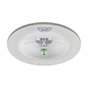 Ceag Notlichtsysteme - Sicherheitsleuchte LED-Einzelbatterie-Leuchte 13811.2 1-8/DCGLine