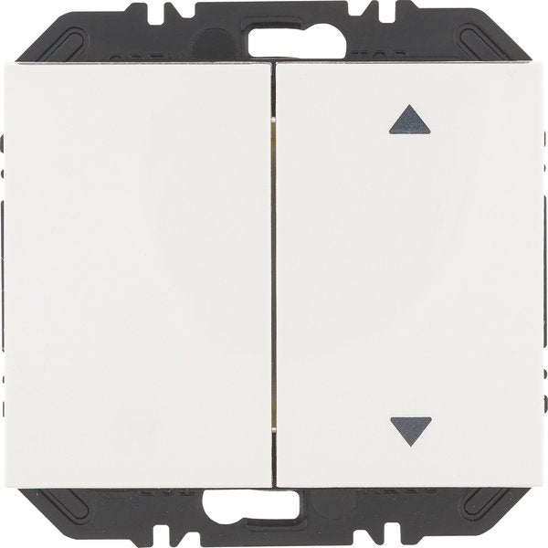 Berker - Bussystem-Hand-/Wandsender Modul Wippe 2f 24127309 einss Aufdr K.1 pw