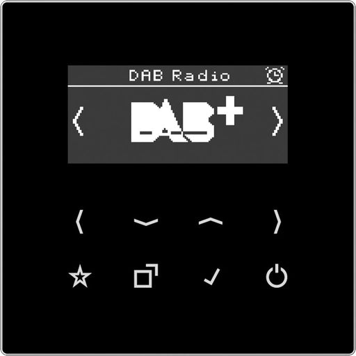 Jung - Radio Smart DAB+ Digitalradio DAB LS SW UKW,DAB